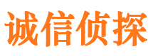 翠屏市侦探公司